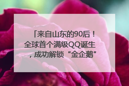来自山东的90后！全球首个满级QQ诞生，成功解锁“金企鹅”，是继承父亲账号