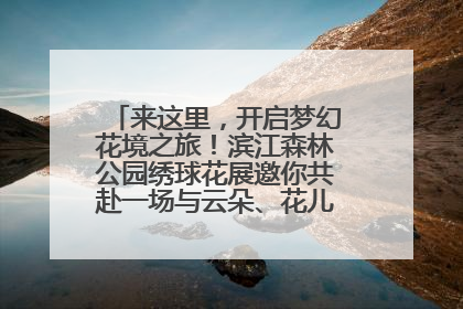 来这里，开启梦幻花境之旅！滨江森林公园绣球花展邀你共赴一场与云朵、花儿的浪漫之约