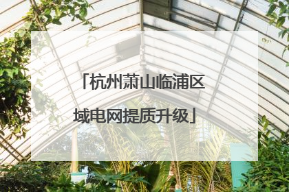杭州萧山临浦区域电网提质升级