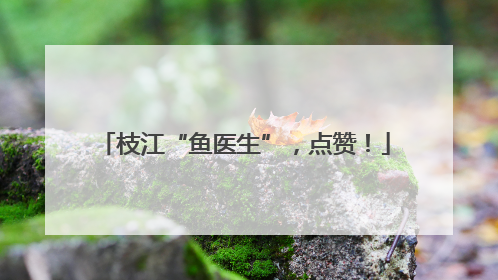 枝江“鱼医生”，点赞！