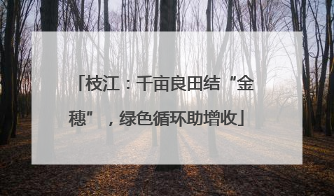 枝江：千亩良田结“金穗”，绿色循环助增收