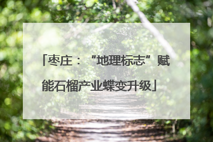 枣庄：“地理标志”赋能石榴产业蝶变升级