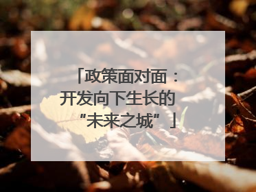 政策面对面：开发向下生长的“未来之城”