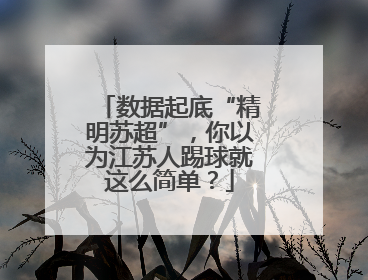 数据起底“精明苏超”，你以为江苏人踢球就这么简单？