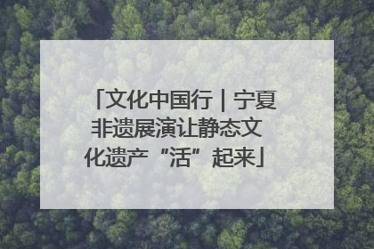 文化中国行｜宁夏 非遗展演让静态文化遗产“活”起来