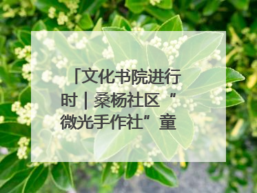 文化书院进行时｜桑杨社区“微光手作社”童心绘夏韵