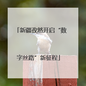 新疆孜然开启“数字丝路”新征程