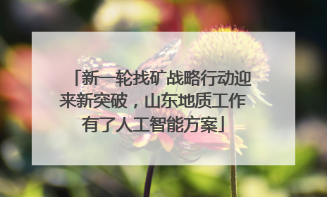 新一轮找矿战略行动迎来新突破，山东地质工作有了人工智能方案