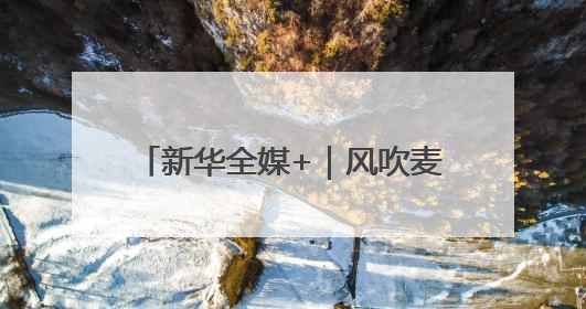 新华全媒+｜风吹麦浪好“丰”景——多地小麦机收一线见闻