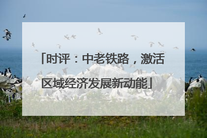 时评：中老铁路，激活区域经济发展新动能