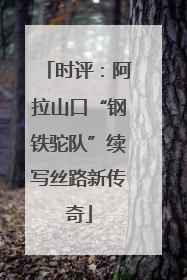 时评：阿拉山口“钢铁驼队”续写丝路新传奇