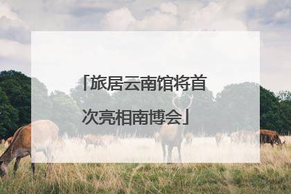 旅居云南馆将首次亮相南博会