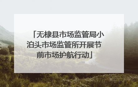 无棣县市场监管局小泊头市场监管所开展节前市场护航行动