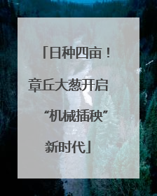 日种四亩！章丘大葱开启“机械插秧”新时代
