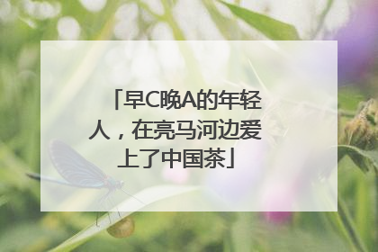 早C晚A的年轻人，在亮马河边爱上了中国茶