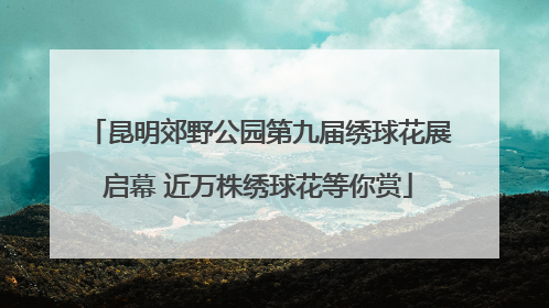 昆明郊野公园第九届绣球花展启幕 近万株绣球花等你赏