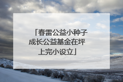 春雷公益小种子成长公益基金在坪上完小设立