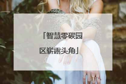 智慧零碳园区崭露头角