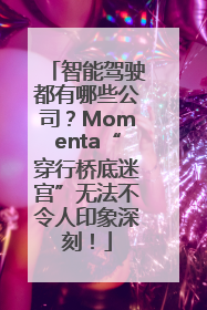 智能驾驶都有哪些公司？Momenta“穿行桥底迷宫”无法不令人印象深刻！