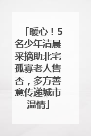 暖心！5名少年清晨采摘助北宅孤寡老人售杏，多方善意传递城市温情