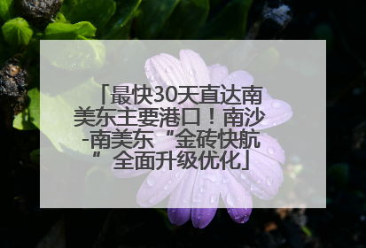 最快30天直达南美东主要港口！南沙-南美东“金砖快航”全面升级优化