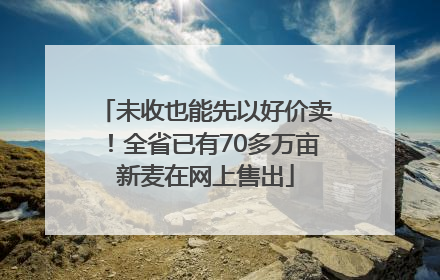 未收也能先以好价卖！全省已有70多万亩新麦在网上售出