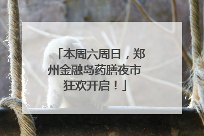 本周六周日，郑州金融岛药膳夜市狂欢开启！