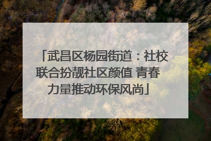 武昌区杨园街道：社校联合扮靓社区颜值 青春力量推动环保风尚
