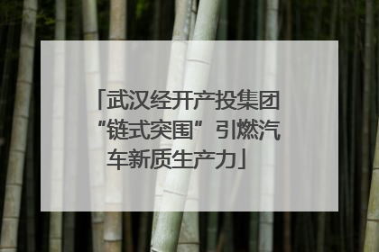武汉经开产投集团“链式突围”引燃汽车新质生产力
