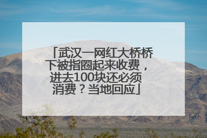 武汉一网红大桥桥下被指圈起来收费，进去100块还必须消费？当地回应