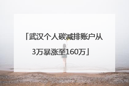 武汉个人碳减排账户从3万暴涨至160万