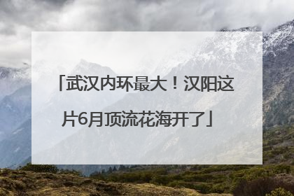 武汉内环最大！汉阳这片6月顶流花海开了
