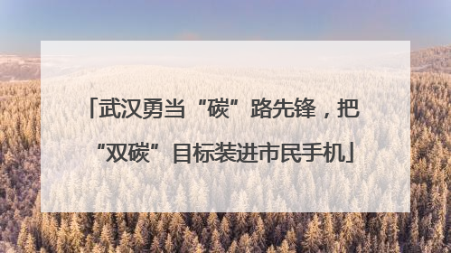 武汉勇当“碳”路先锋，把“双碳”目标装进市民手机