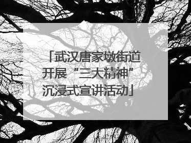 武汉唐家墩街道开展“三大精神”沉浸式宣讲活动