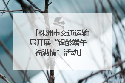 株洲市交通运输局开展“银龄端午福满情”活动