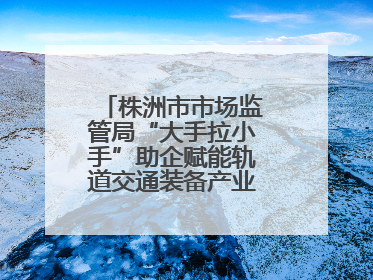 株洲市市场监管局“大手拉小手”助企赋能轨道交通装备产业链质量升级