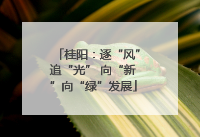 桂阳：逐“风”追“光” 向“新”向“绿”发展