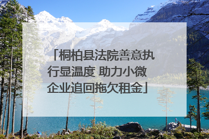 桐柏县法院善意执行显温度 助力小微企业追回拖欠租金