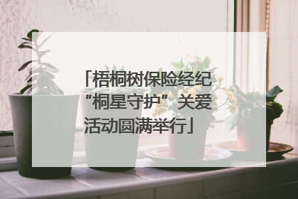 梧桐树保险经纪“桐星守护”关爱活动圆满举行
