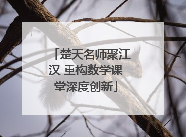 楚天名师聚江汉 重构数学课堂深度创新