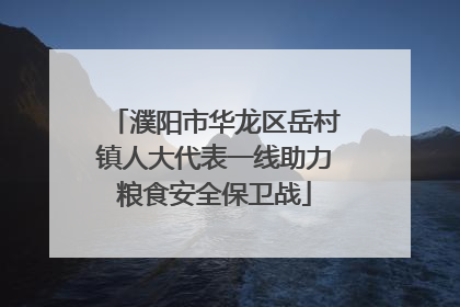 濮阳市华龙区岳村镇人大代表一线助力粮食安全保卫战