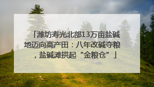 潍坊寿光北部13万亩盐碱地迈向高产田：八年改碱夺粮，盐碱滩拱起“金粮仓”
