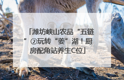 潍坊峡山农品“五链”②玩转“姜”湖！厨房配角站养生C位