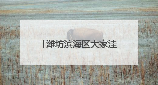 潍坊滨海区大家洼街道“三包三联”激活乡村振兴密码
