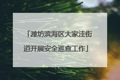 潍坊滨海区大家洼街道开展安全巡查工作