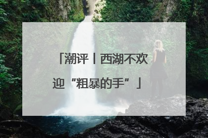 潮评丨西湖不欢迎“粗暴的手”