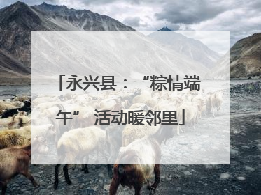 永兴县：“粽情端午” 活动暖邻里