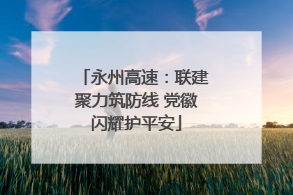 永州高速：联建聚力筑防线 党徽闪耀护平安