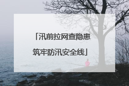 汛前拉网查隐患 筑牢防汛安全线