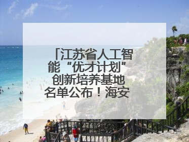 江苏省人工智能“优才计划” 创新培养基地名单公布！海安高级中学入选